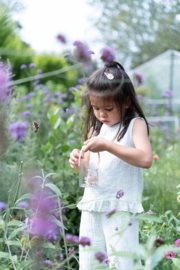 Little Dutch Insectenpotje - Fairy Garden FSC