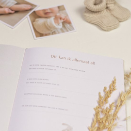 Little Dutch Babyboek