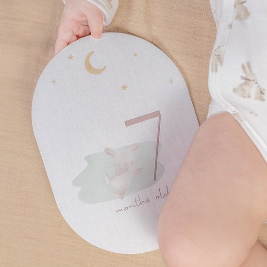 Little Dutch - Mijn eerste jaar - Mijlpaalkaarten