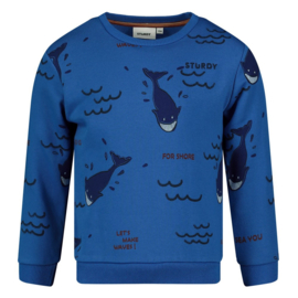 Sturdy Sweater AOP Aqua - Waves and Whales