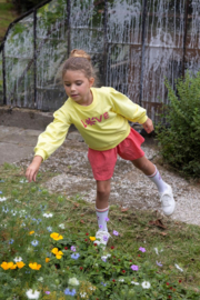 Jubel Sweater Geel - Picknick Perfect