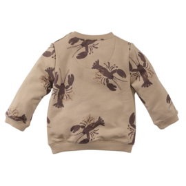 Z8 Sweater Franco - Nougat