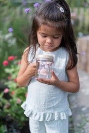 Little Dutch Insectenpotje - Fairy Garden FSC