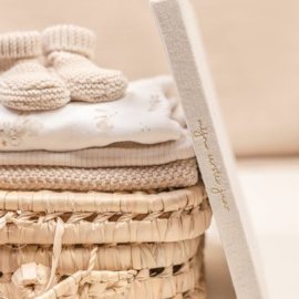 Little Dutch Babyboek