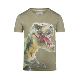 Koko Noko T-Shirt Print - Faded Green