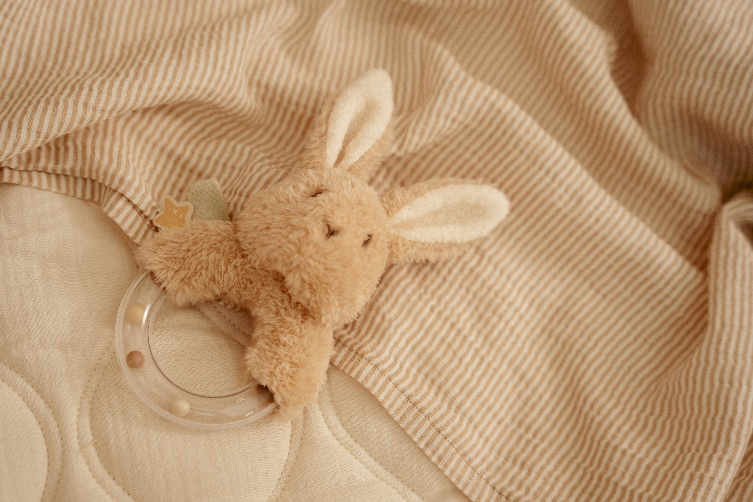 Little Dutch Ringrammelaar - Newborn Naturals