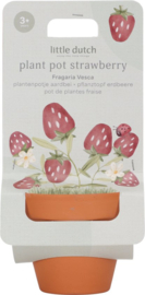 Little Dutch - Plantenpotje Aardbei