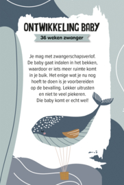 Zo doe je dat – Negen maanden zwanger boekbox