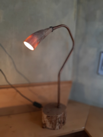 Lamp5