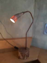 Lamp5