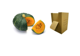 ORGANIC-DEMETER Pumpkins green 1000 kg cardboard (Enter p/ pcs.)