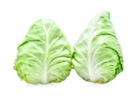 ORGANIC Pointed Cabbage NL 8 pcs box (Enter p/ pcs)