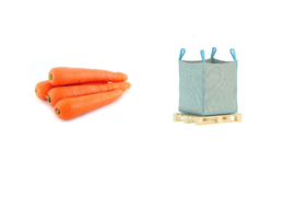ORGANIC Carrots orange NL 1100 big bag (Enter p/ kg)