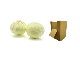 ORGANIC Cabbage white NL in 1000 kg cardboard (Enter p/ kg)