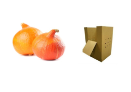 ORGANIC Pumpkin orange NL 1000 kg cardboard box (Enter p/ kg)