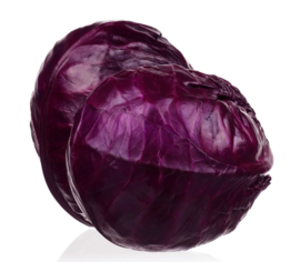 ORGANIC Cabbage Red NL 10 kg net bag (Enter p/ net bag)