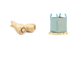 ORGANIC Parsnip NL 1100 kg big bag (Enter p/ kg)