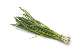 ORGANIC Spring onions EG 14 pcs. bunch in box (Enter p/ box)