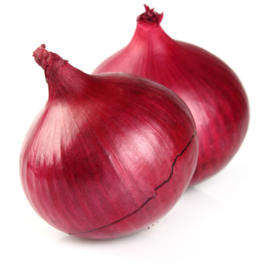 ORGANIC Onions red NL 10 kg net bag (Enter p/ pcs.)