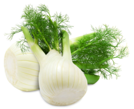 BIO Fenchel NL 5 Kg Karton (Eingabe p/ St.)