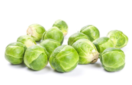 ORGANIC Sprouts NL 5 kg box (Enter p/ pcs)