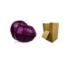ORGANIC Cabbage red NL 1000 kg cardboard box (Enter p/ kg)