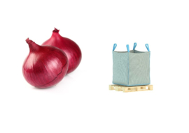 ORGANIC Onions red NL 1150 kg big bag (Enter p/ Kg)