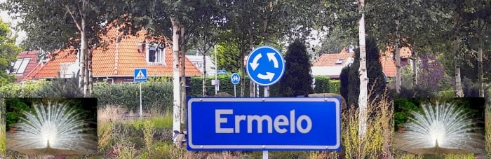 Bezorgen in Ermelo