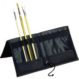 Case for brushes