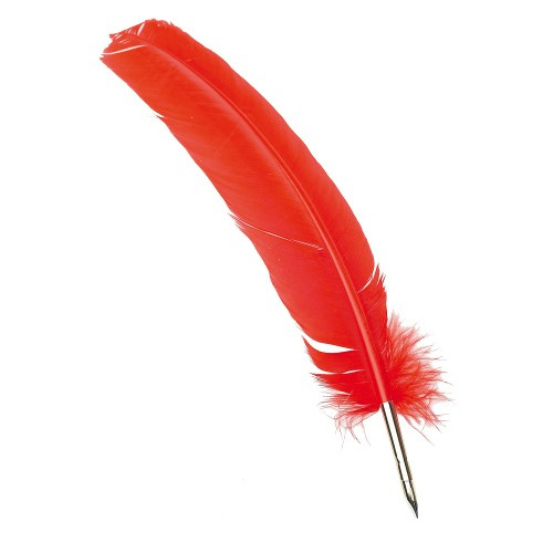 Goose feather quill pen