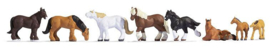 Paarden / Kaltblutpferde