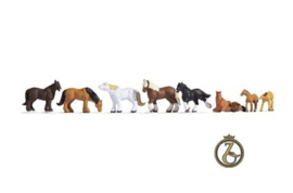 Paarden / Kaltblutpferde