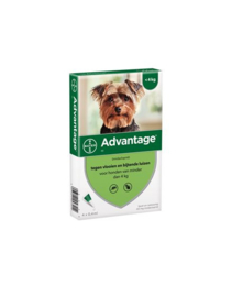 Advantage Hond tot 4kg