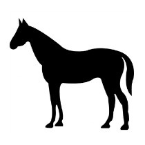 NRV Paard 200gr
