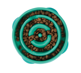 Outward Hound Fun Feeder Mini Teal