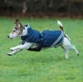 Bucas Freedom Dog Rug Navy/Silver 25cm