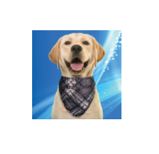 Aqua Coolkeeper Cooling Pet Bandana XL