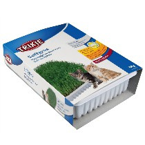 Trixi Soft Gras 100gr (kattengras)