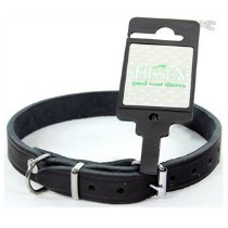 Halsband Vetleer Zwart 12mm 30cm