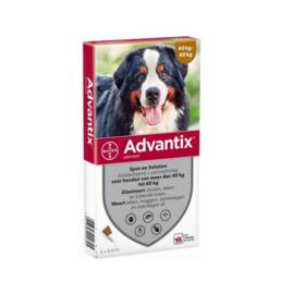 Advantix Hond  40-60kg