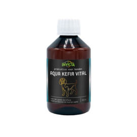 Invicta Aqua Kefir Vital hond 250ml