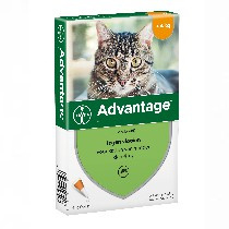 Advantage Kat 40 - tot 4kg