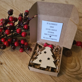 'T mooiste kerstcadeau