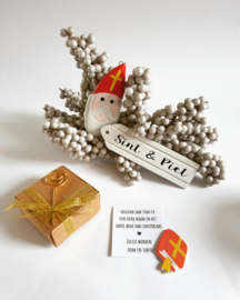 Het grote boek van sinterklaas- Jullie worden oom en tante