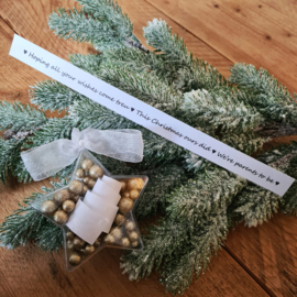 Christmas star - hoping all your wishes come treu