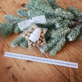Christmas star - Santa says your gift will be a little late this year - grandpa