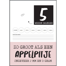 Aftelkalender zwangerschap