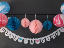 Gender reveal - blue or pink ?