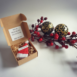 Santa baby - Santa says your gift will be a little late this year - Aunt