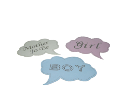 Photoprops GENDER REVEAL